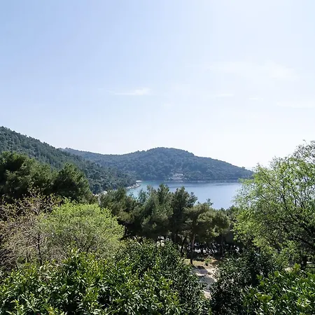 Guest House Kralj Saplunara Exterior photo