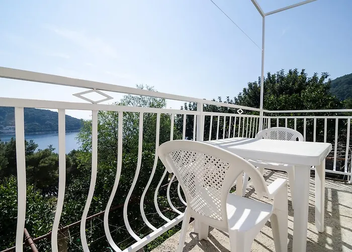 Guest House Kralj