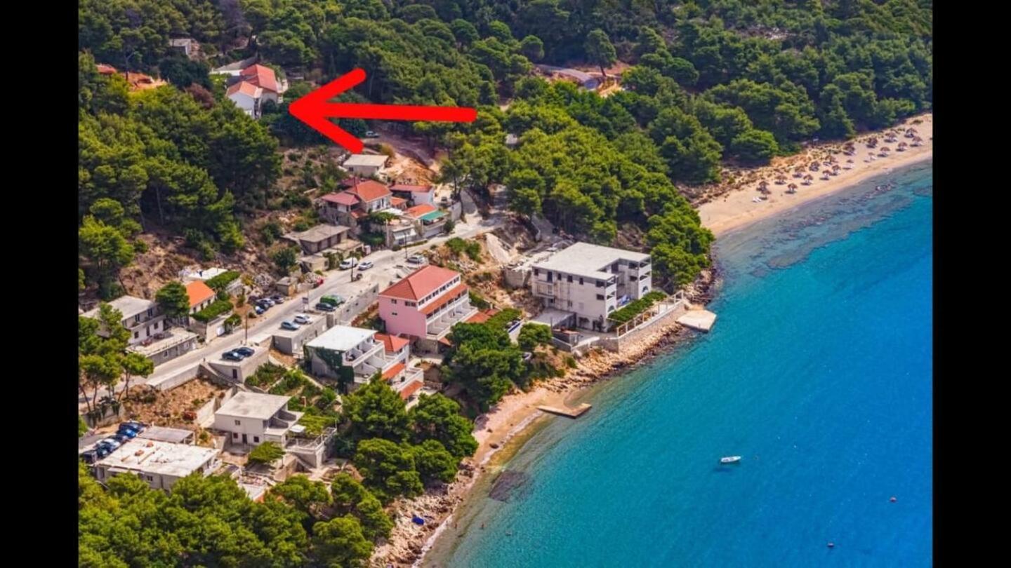 Kralj Saplunara