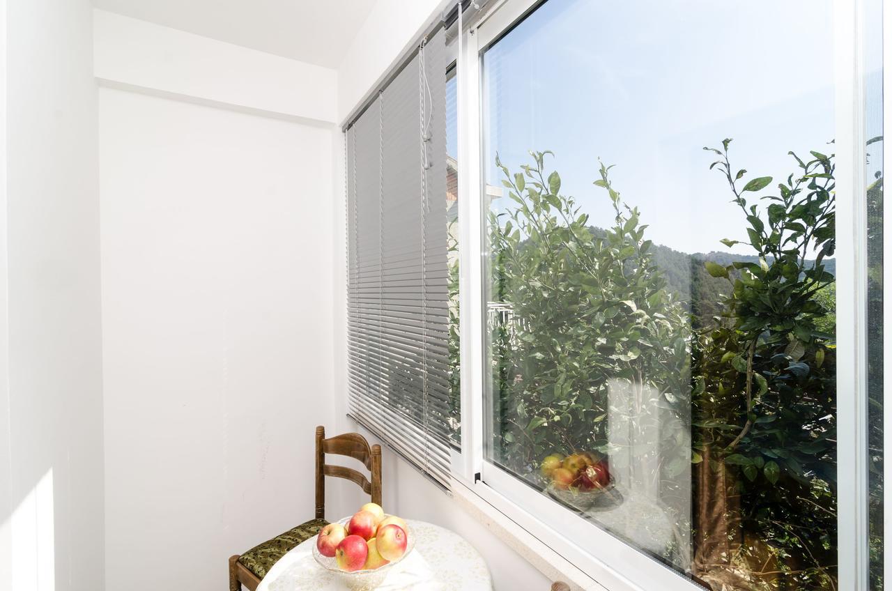 Apartment Kralj Saplunara